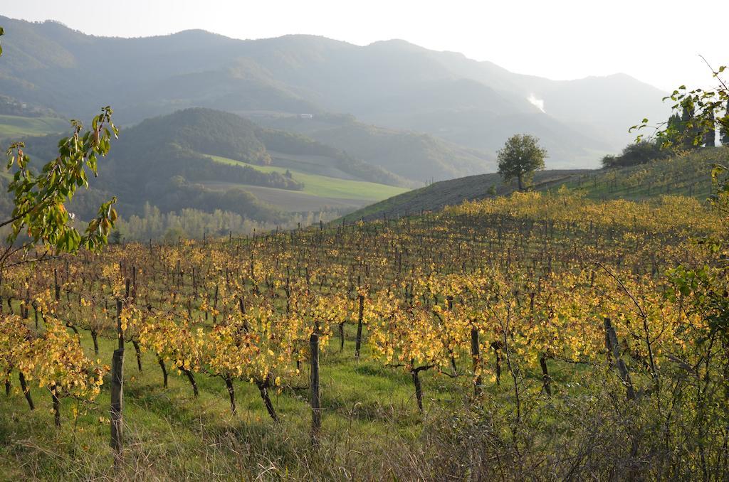 La Cerreta Rocca San Casciano Bagian luar foto